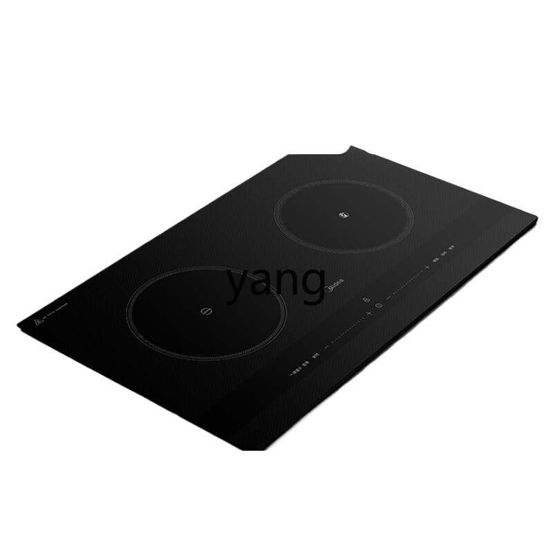 CX  induction cooker double st - Induction Cooker recension och pris